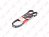 LYNXauto 6PK1368 V-Ribbed Belts